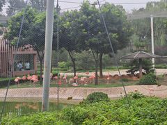 -太原动物园