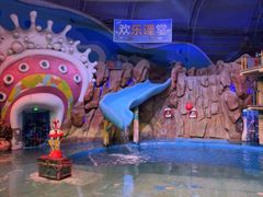 -烟台海昌鲸鲨海洋公园