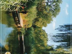 -三里河公园