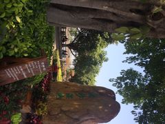 iphone_upload_pic-大湾区中央湿地公园
