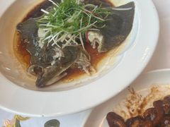 清蒸多宝鱼-粤珍轩.创始店.始于2001(含光门店)