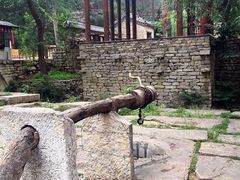 -井塘古村