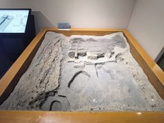 -洛阳周王城天子驾六博物馆