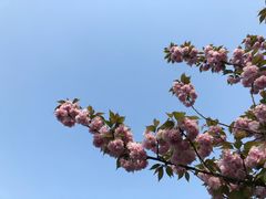 -苏州上方山国家森林公园