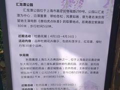 -嘉定紫藤园