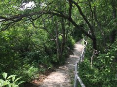 -白草畔自然风景区