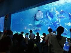 -常州海昌海洋探索馆