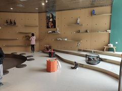-飞行喵MR PILOT|猫舍·猫咖(静安大融城店)