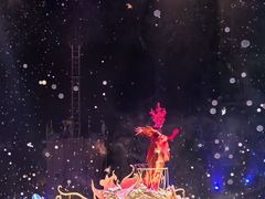 -广州长隆国际大马戏