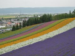 -富田农场