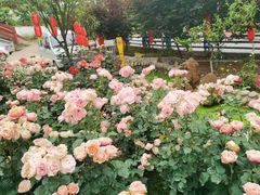 -玫瑰庄园·自助烧烤·烤全羊·团建拓展(龙泉山店)