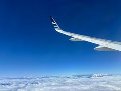 -菌自由丨野生菌火锅特色庭院餐厅(丽江古城店)