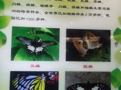 -上海昆虫博物馆