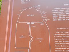 -大岭沟猕猴桃谷风景区