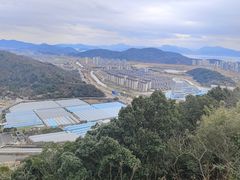 -黄贤森林公园