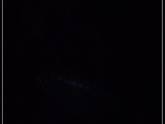 -乌文新澄海卤鹅店