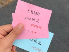-前小桔亲子创意农场·草莓采摘·露营烧烤