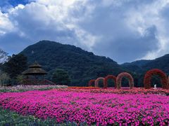 -广州市石门国家森林公园