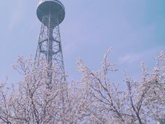 -许慎文化园