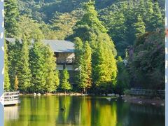 -广州市帽峰山景区