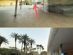 -云溪植物园