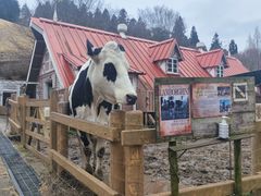 -神户市立六甲山牧场