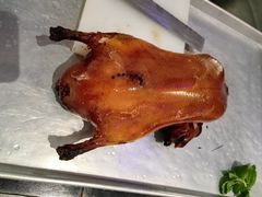 -香乐园·淮扬菜中餐厅·Shang Garden(福田香格里拉店)