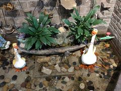 -阿嫂印象·民间江湖菜(大学城店)