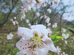 -梁鸿国家湿地公园