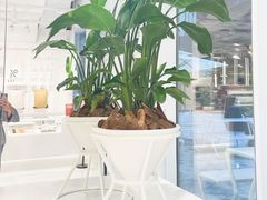 -% Arabica阿拉比卡咖啡(前滩太古里店)