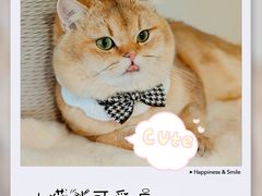 -北京观赏动物医院·24小时大型综合·猫专科·异宠专科