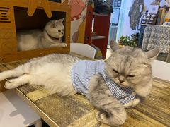 -小时光咖啡馆(北锣鼓巷店)
