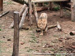-泉州海丝野生动物世界