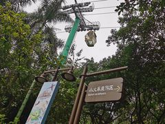 -广州长隆野生动物世界