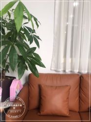 -北京炫美医疗美容