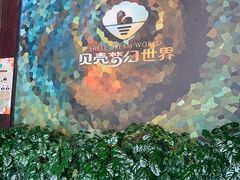 -贝壳梦幻世界