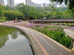 -龙头寺公园