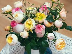 -双季花艺园艺市场(浦东店)