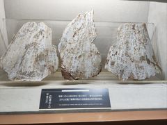 -上海邮政博物馆
