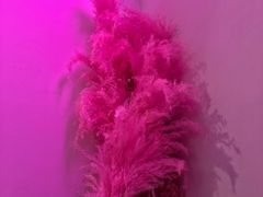 -花沐 FLOWER BATH(凤凰城店)