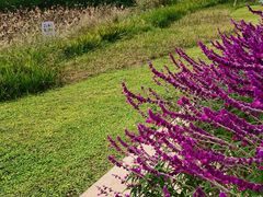 -白鹭湾湿地公园