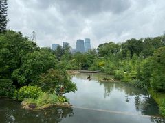 -云溪植物园
