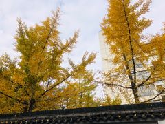 -浙江大学(玉泉校区)