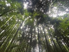 -山王坪喀斯特国家生态公园