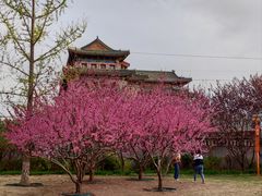 -北京明城墙遗址公园