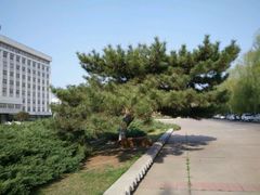 android_upload_pic-辽宁大学(崇山校区)