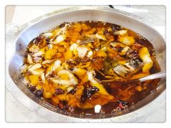 -鑫巴蜀小镇 · 水煮鱼专研店(玉桥店)