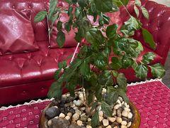 -创世纪情缘·婚恋(杭州家和店)