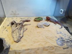 -Zoolung Zoolung动物主题公园(海信广场店)