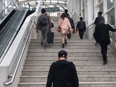 -国际邮轮中心码头(厦鼓码头)